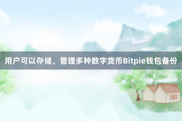 用户可以存储、管理多种数字货币Bitpie钱包备份