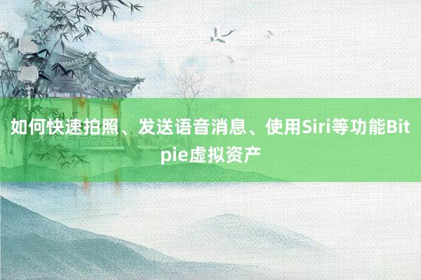 如何快速拍照、发送语音消息、使用Siri等功能Bitpie虚拟资产