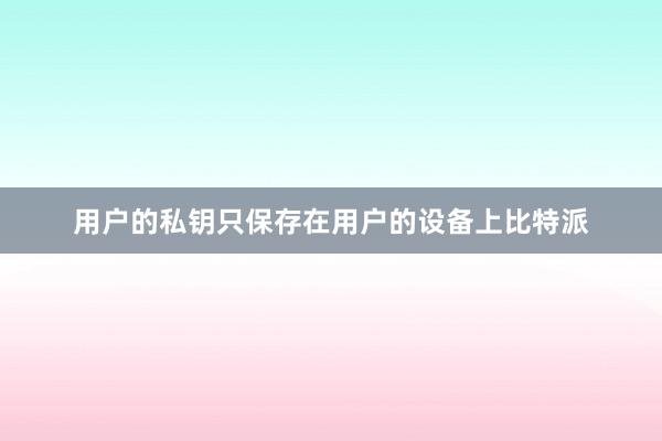 用户的私钥只保存在用户的设备上比特派