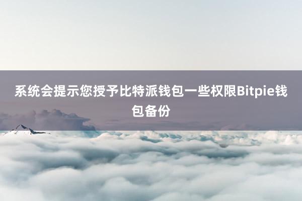 系统会提示您授予比特派钱包一些权限Bitpie钱包备份