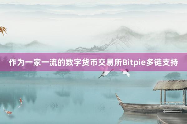 作为一家一流的数字货币交易所Bitpie多链支持