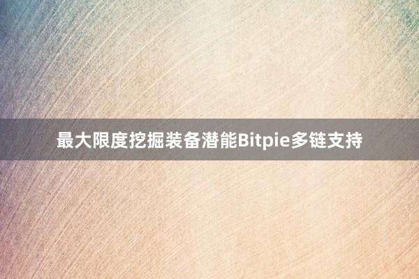 最大限度挖掘装备潜能Bitpie多链支持