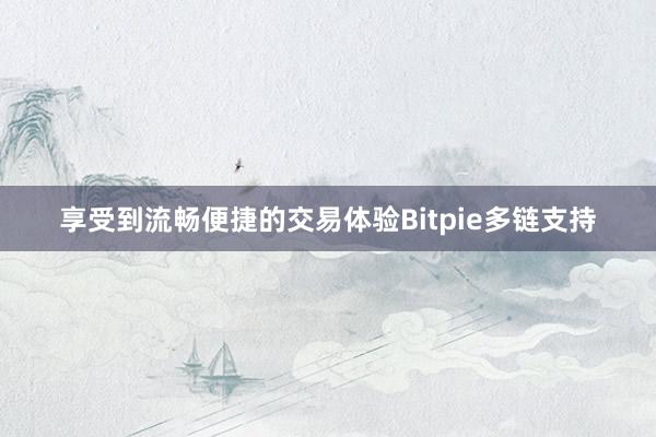 享受到流畅便捷的交易体验Bitpie多链支持