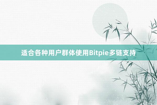 适合各种用户群体使用Bitpie多链支持