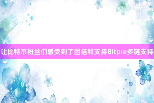 让比特币粉丝们感受到了团结和支持Bitpie多链支持