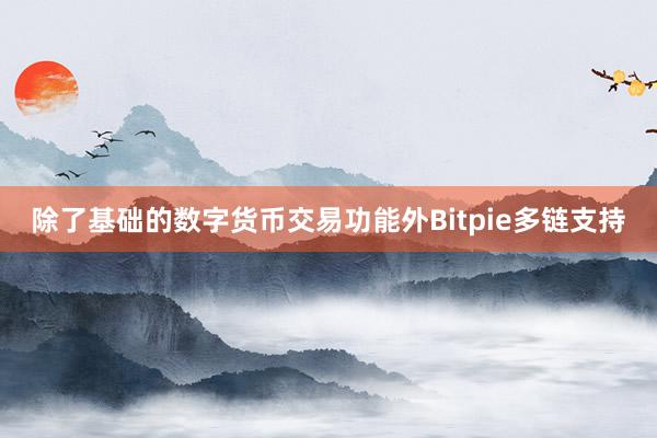 除了基础的数字货币交易功能外Bitpie多链支持