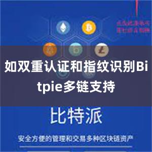 如双重认证和指纹识别Bitpie多链支持