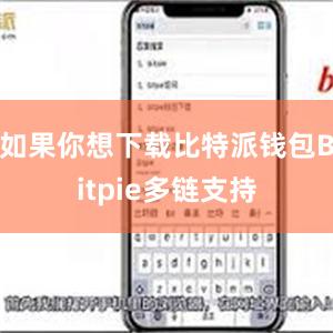 如果你想下载比特派钱包Bitpie多链支持