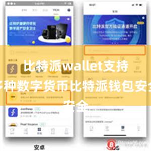 比特派wallet支持多种数字货币比特派钱包安全