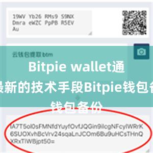 Bitpie wallet通过最新的技术手段Bitpie钱包备份